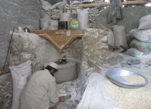 20281248355_c81d685c78_c